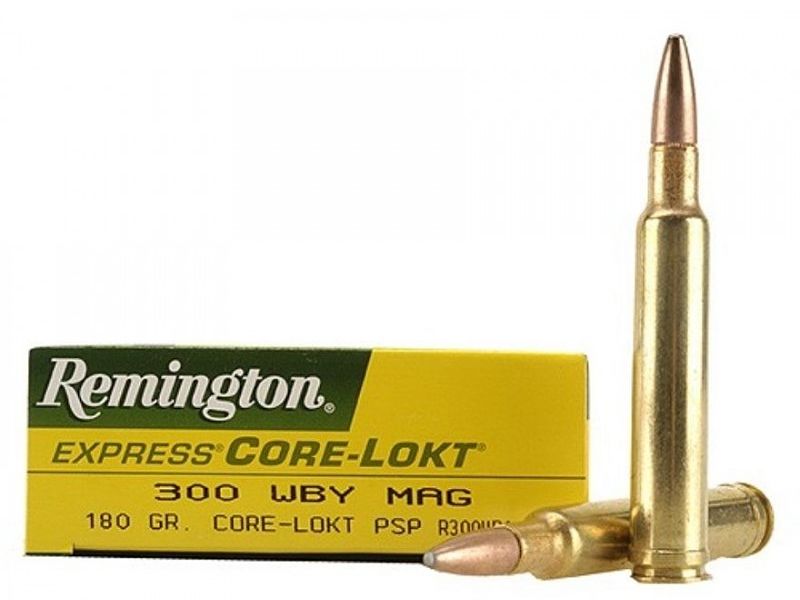 300 Win Mag vs 300 Weatherby Magnum